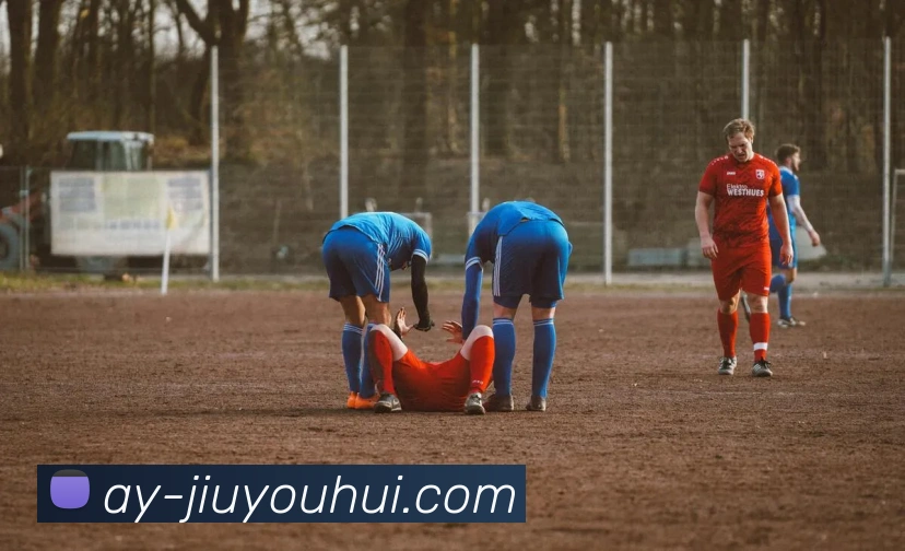 九游会J9官网APP 高清赛事图